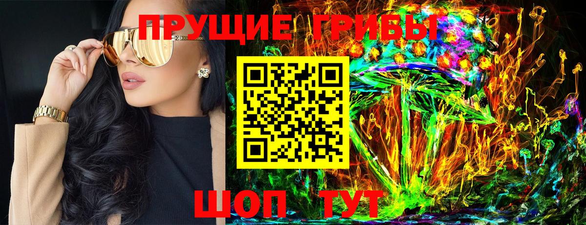 Елабуга  Псилоцибиновые грибы MAGIC MUSHROOMS  Вход с VPN 