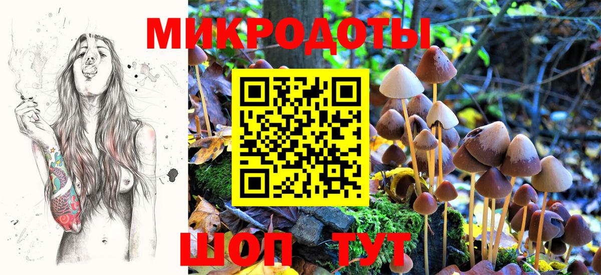 Псилоцибиновые грибы Cubensis Елабуга